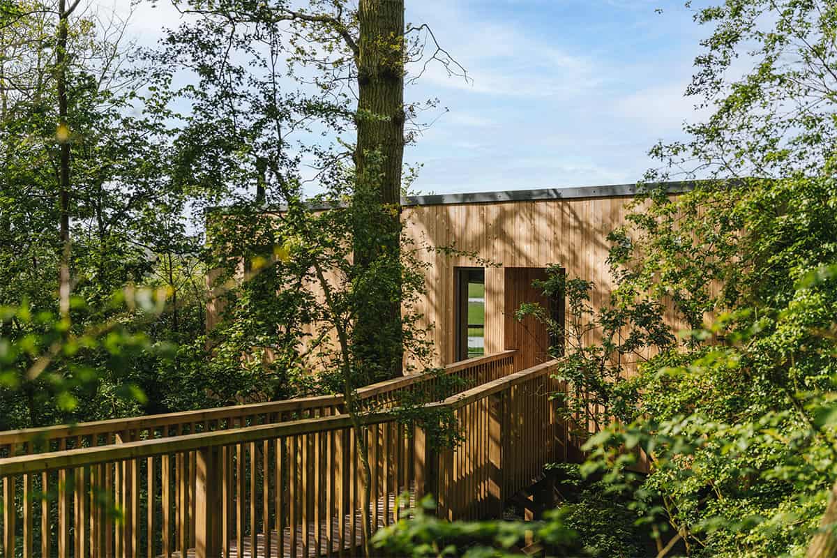 Elmore Treehouses timber-clad exterior and raised walkway through woodland at Elmore Court, Gloucestershire